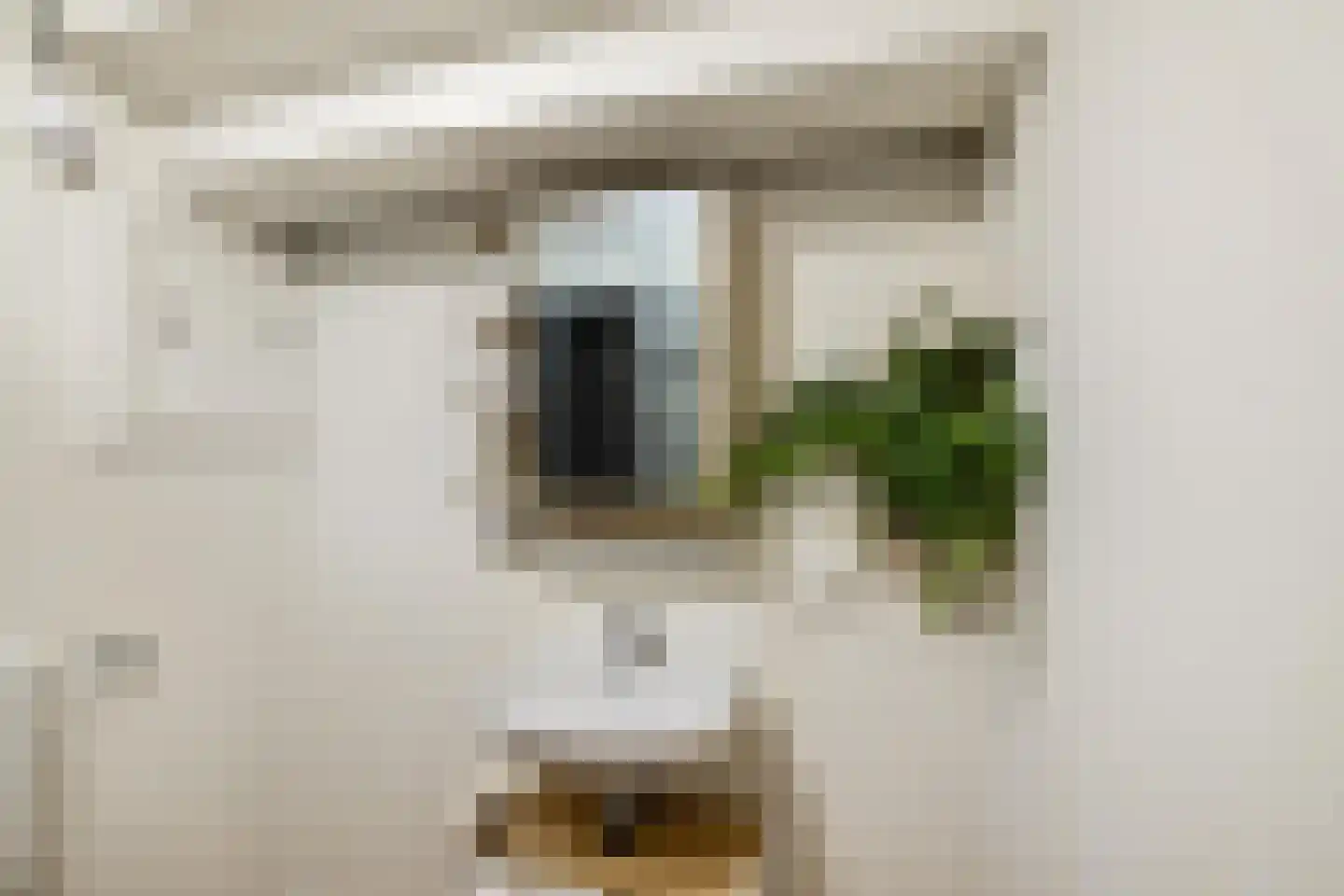 Grote Appelstraat 11 b Groningen thumbnail 8