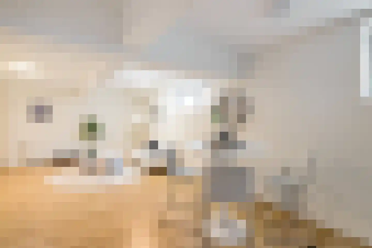 Grote Appelstraat 11 b Groningen thumbnail 9