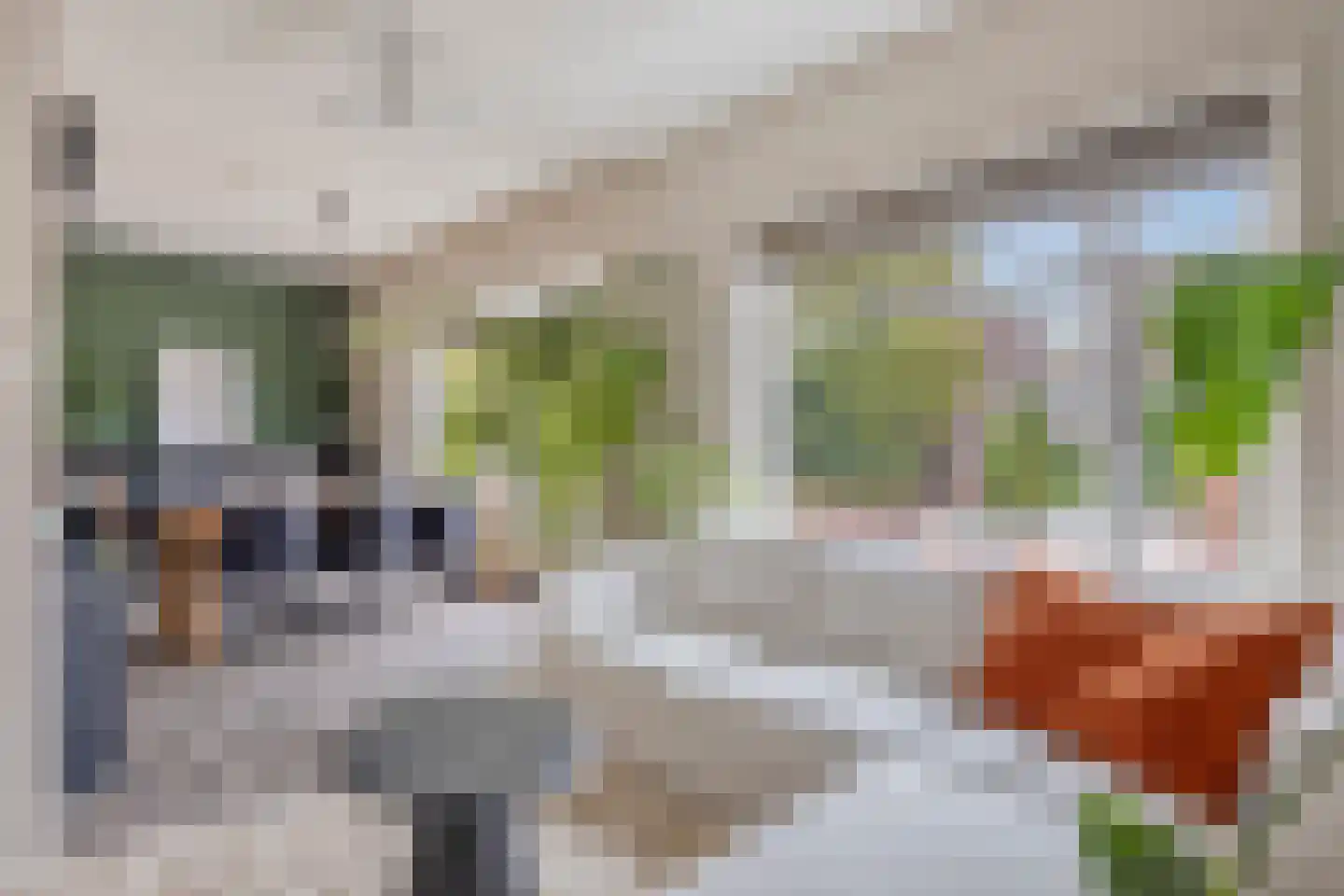 Grote Appelstraat 39 b Groningen thumbnail 15