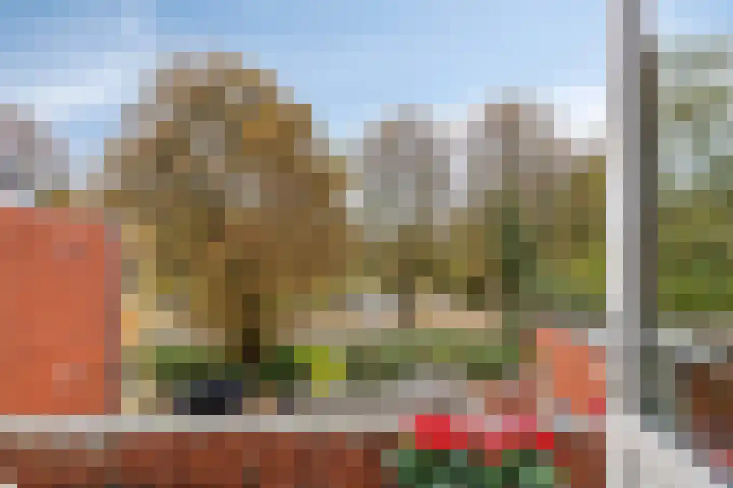 Grote Appelstraat 39 b Groningen thumbnail 4