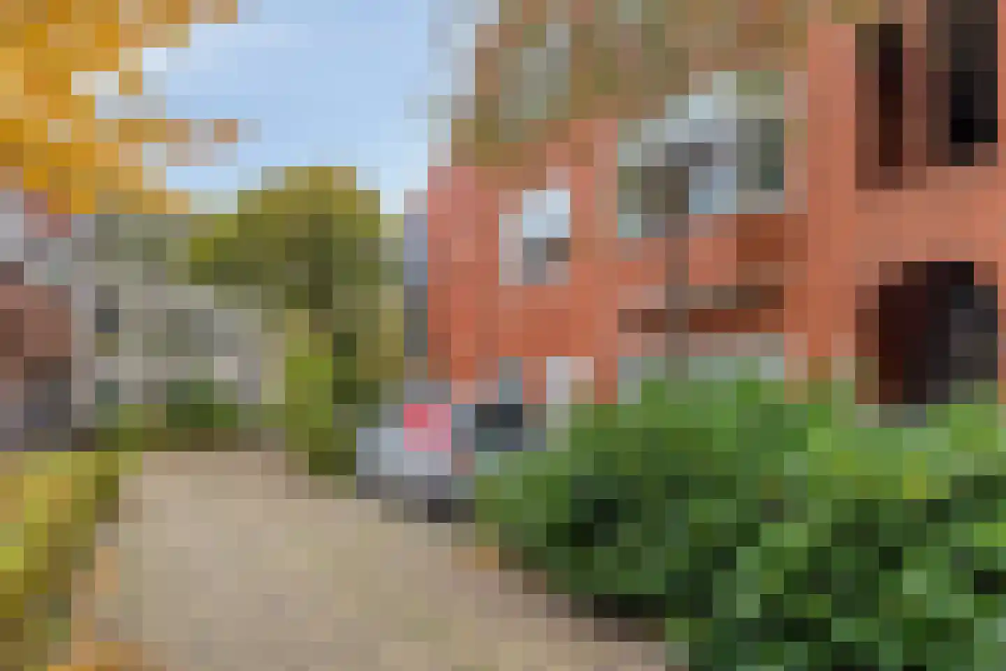 Grote Appelstraat 39 b Groningen thumbnail 7
