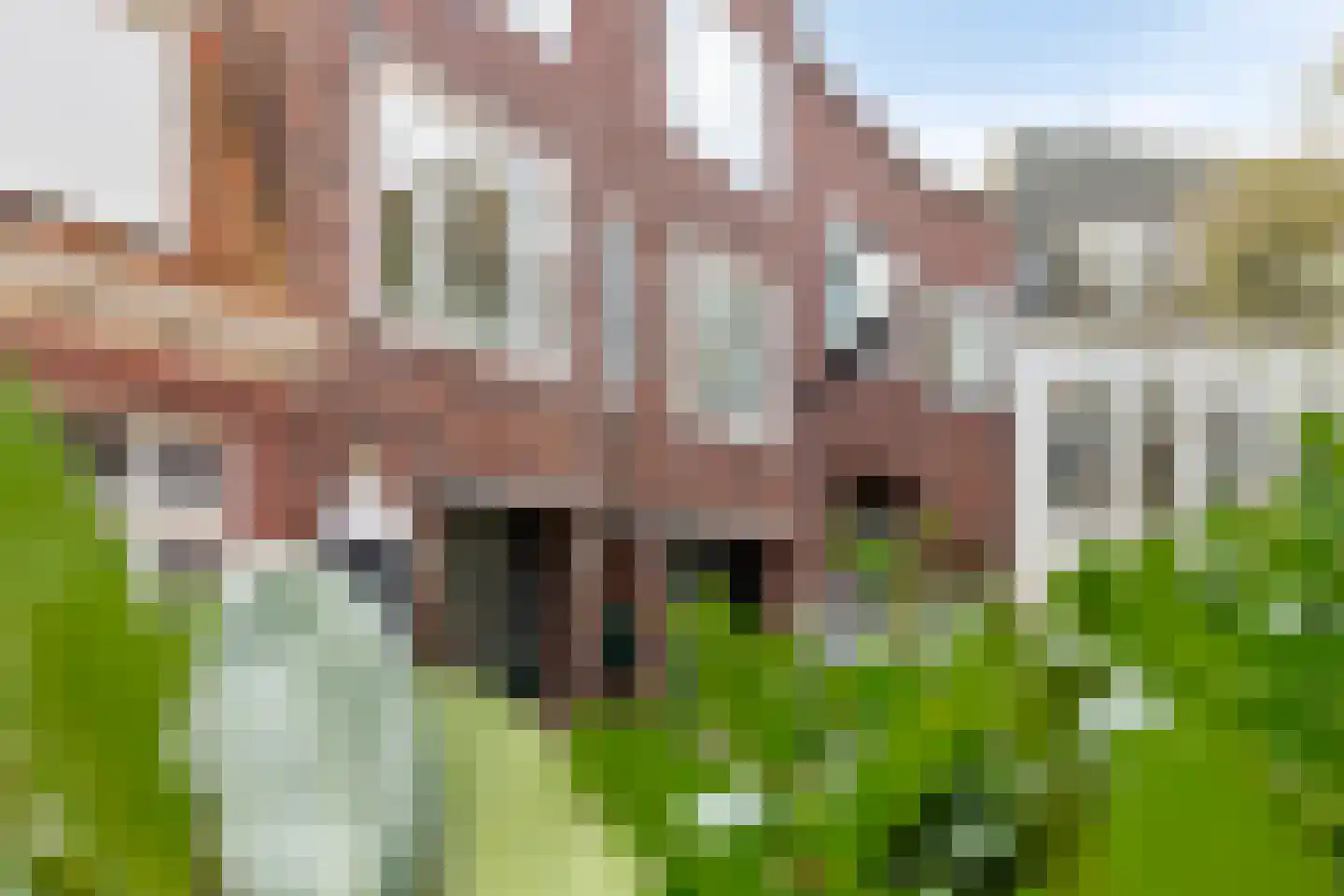 Grote Appelstraat 40 a Groningen thumbnail 27