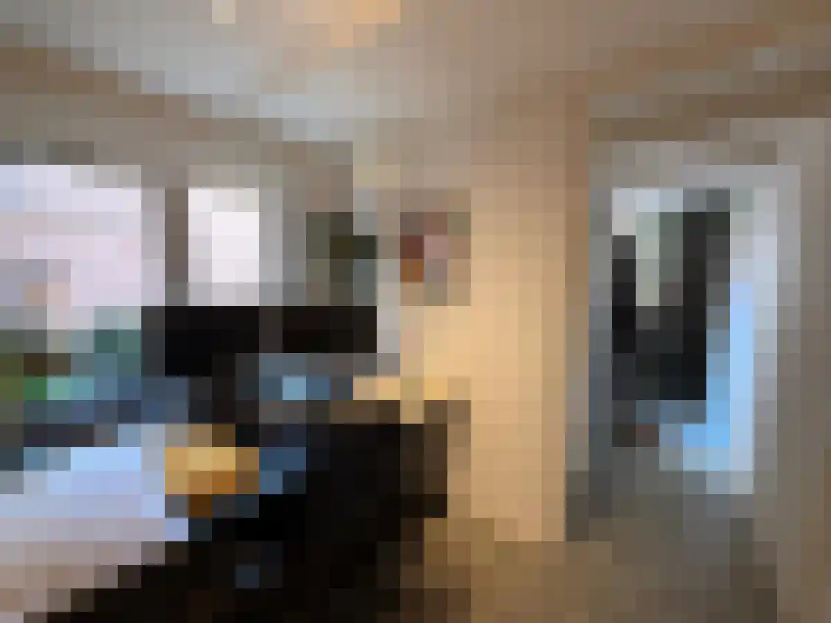 Grote Appelstraat 6 Groningen thumbnail 6