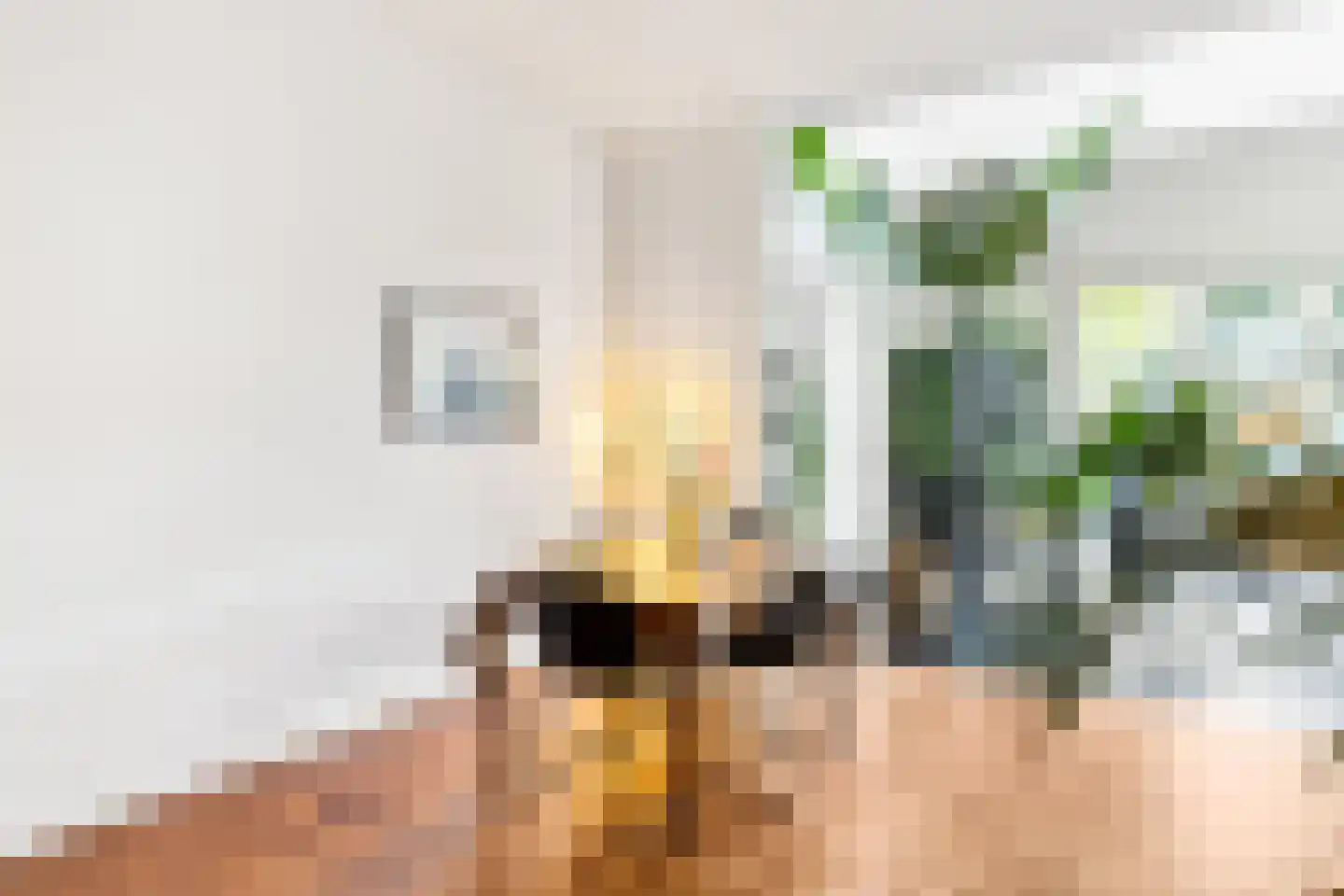 Grote Bagijnestraat 18 Hulst thumbnail 12