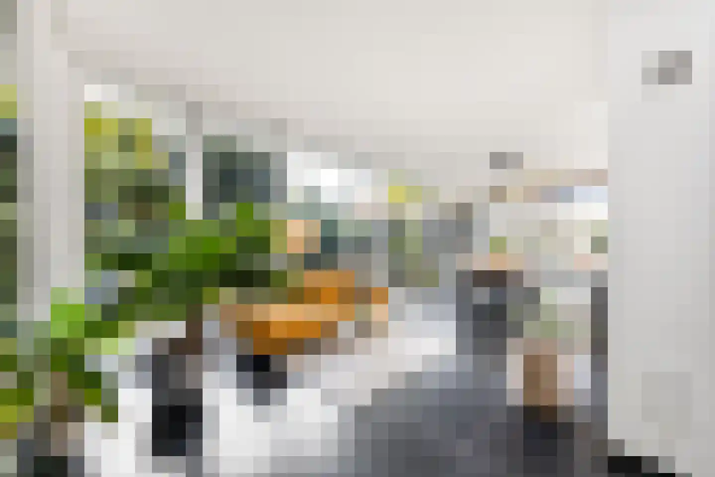Grote Bagijnestraat 18 Hulst thumbnail 14