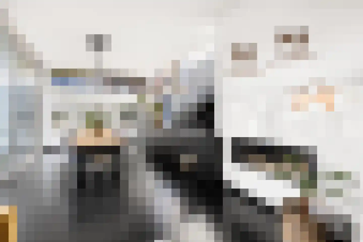 Grote Bagijnestraat 18 Hulst thumbnail 16
