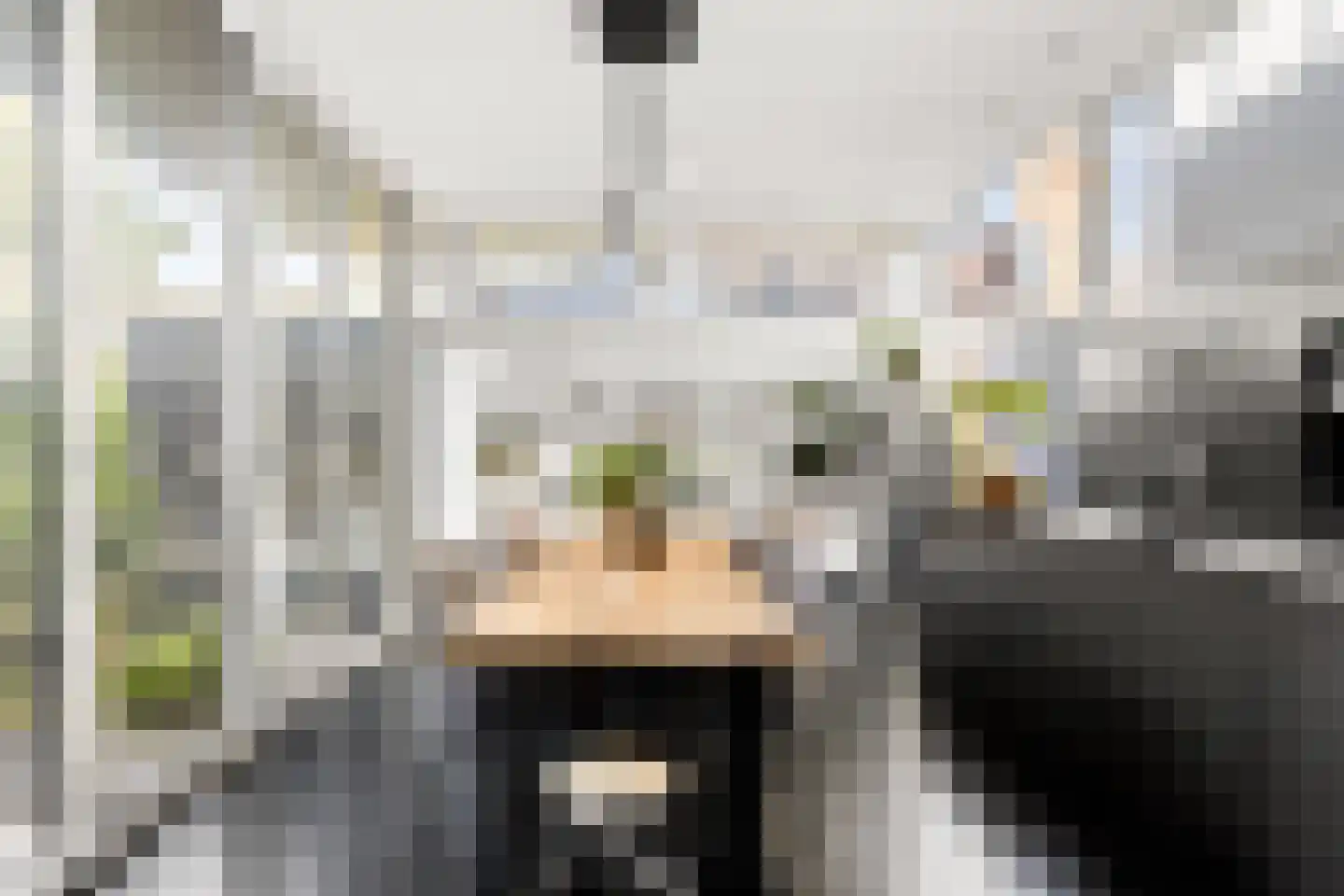 Grote Bagijnestraat 18 Hulst thumbnail 17