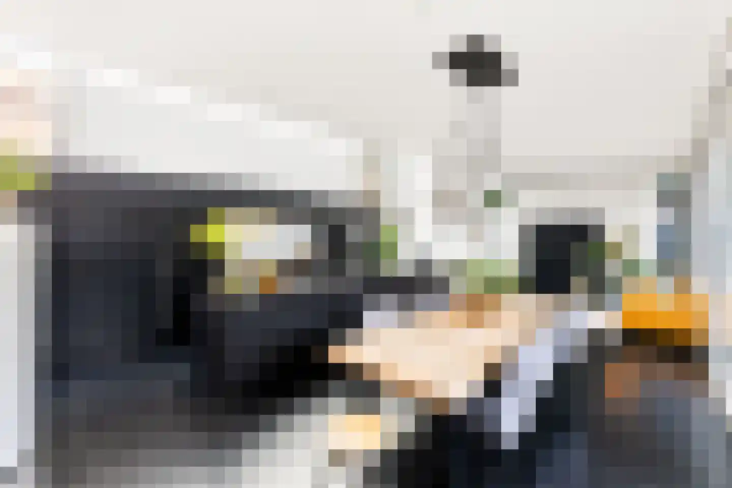 Grote Bagijnestraat 18 Hulst thumbnail 18
