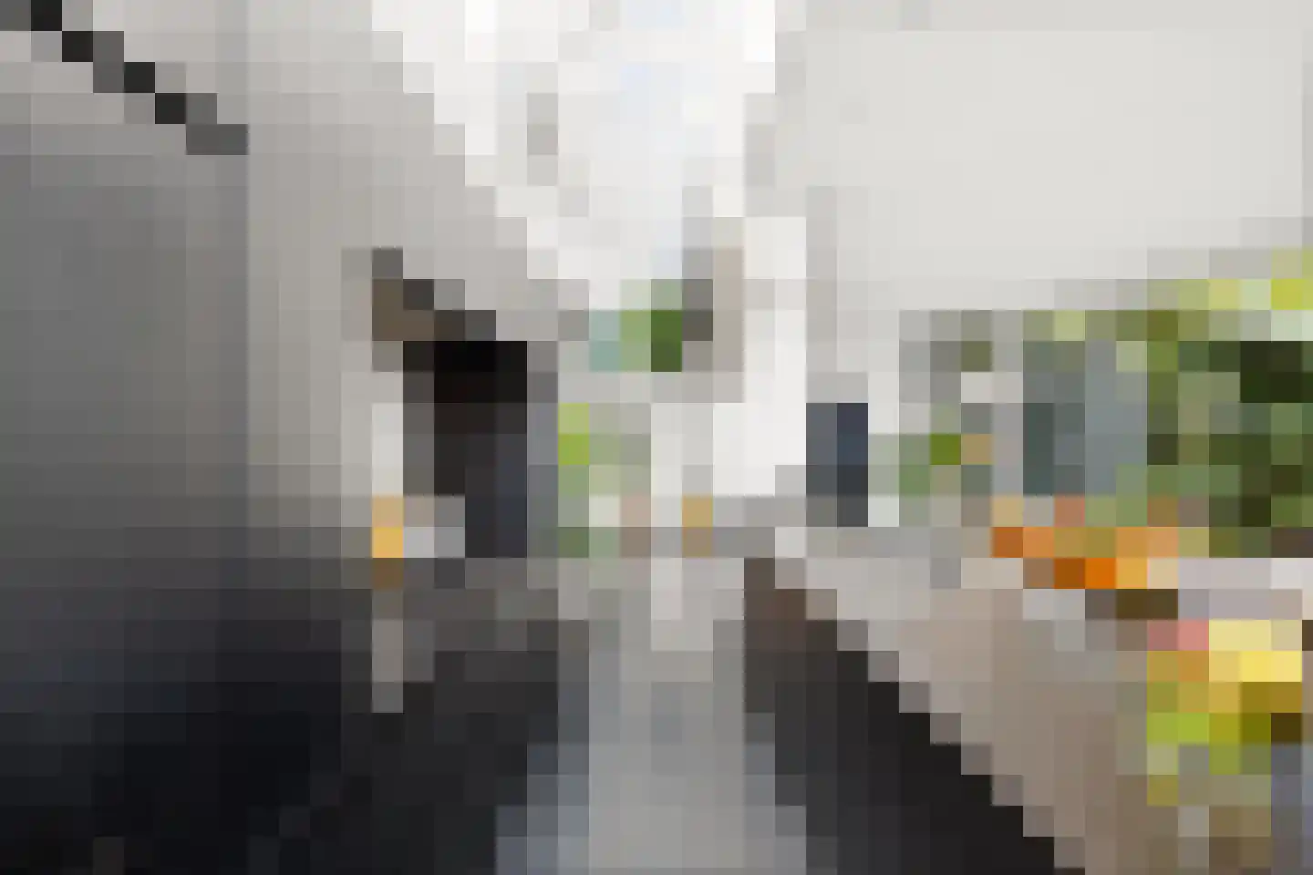 Grote Bagijnestraat 18 Hulst thumbnail 19