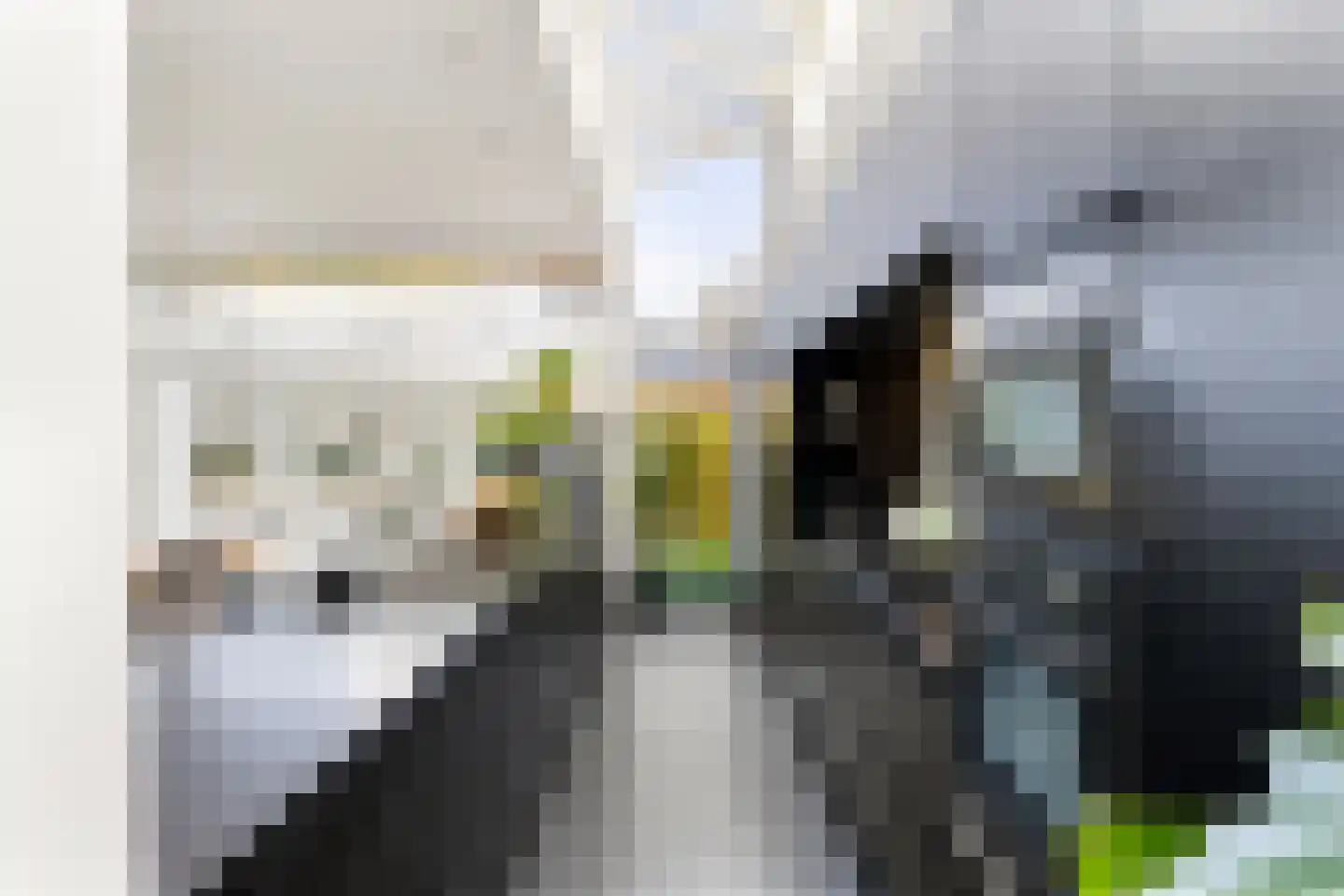 Grote Bagijnestraat 18 Hulst thumbnail 20