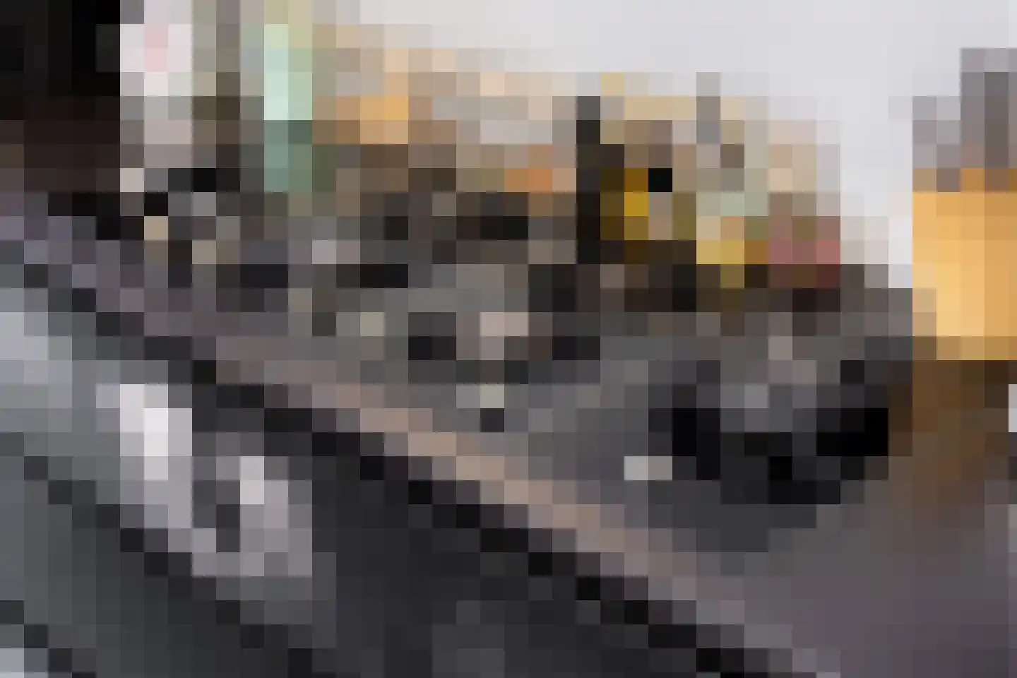 Grote Bagijnestraat 18 Hulst thumbnail 22