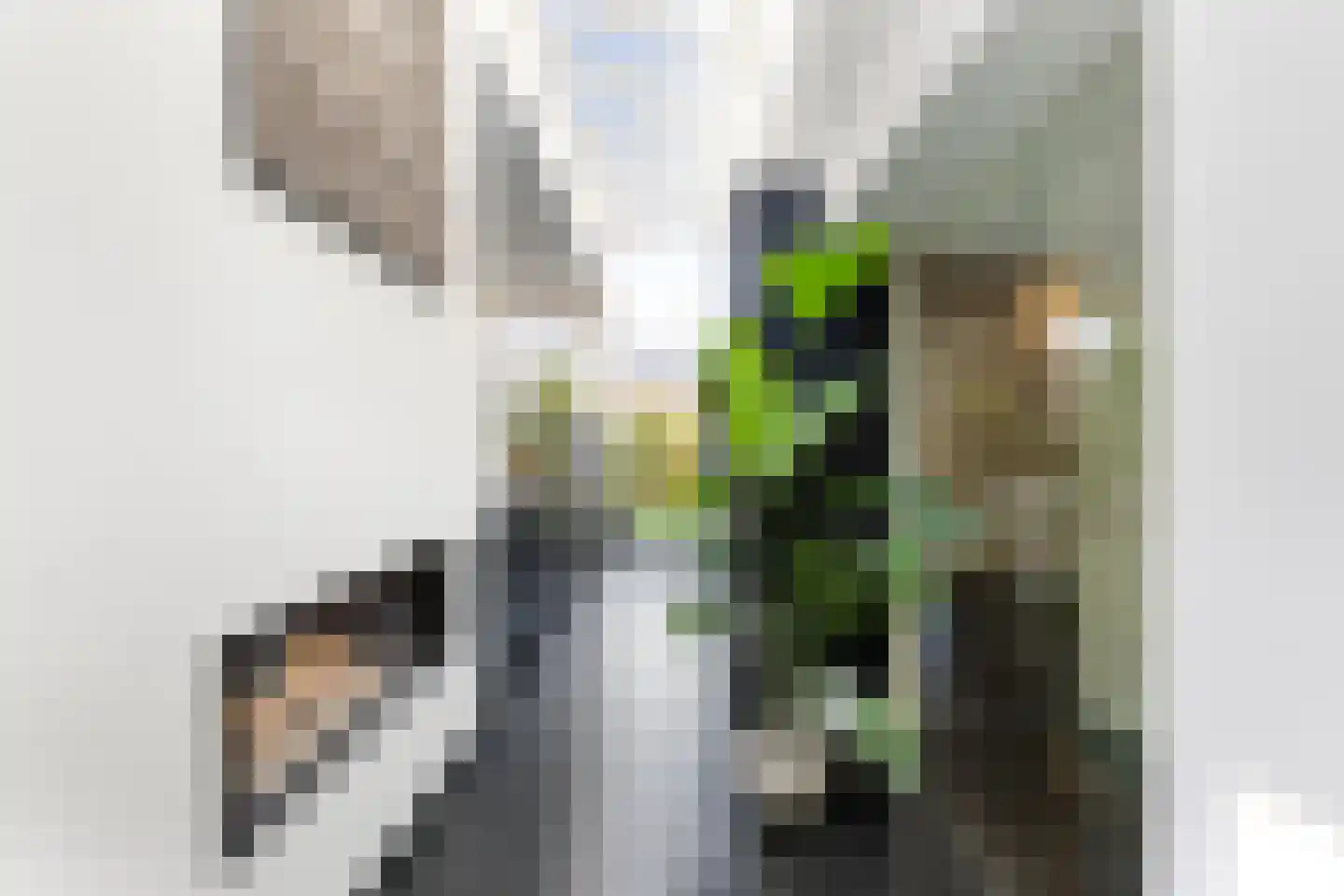 Grote Bagijnestraat 18 Hulst thumbnail 23