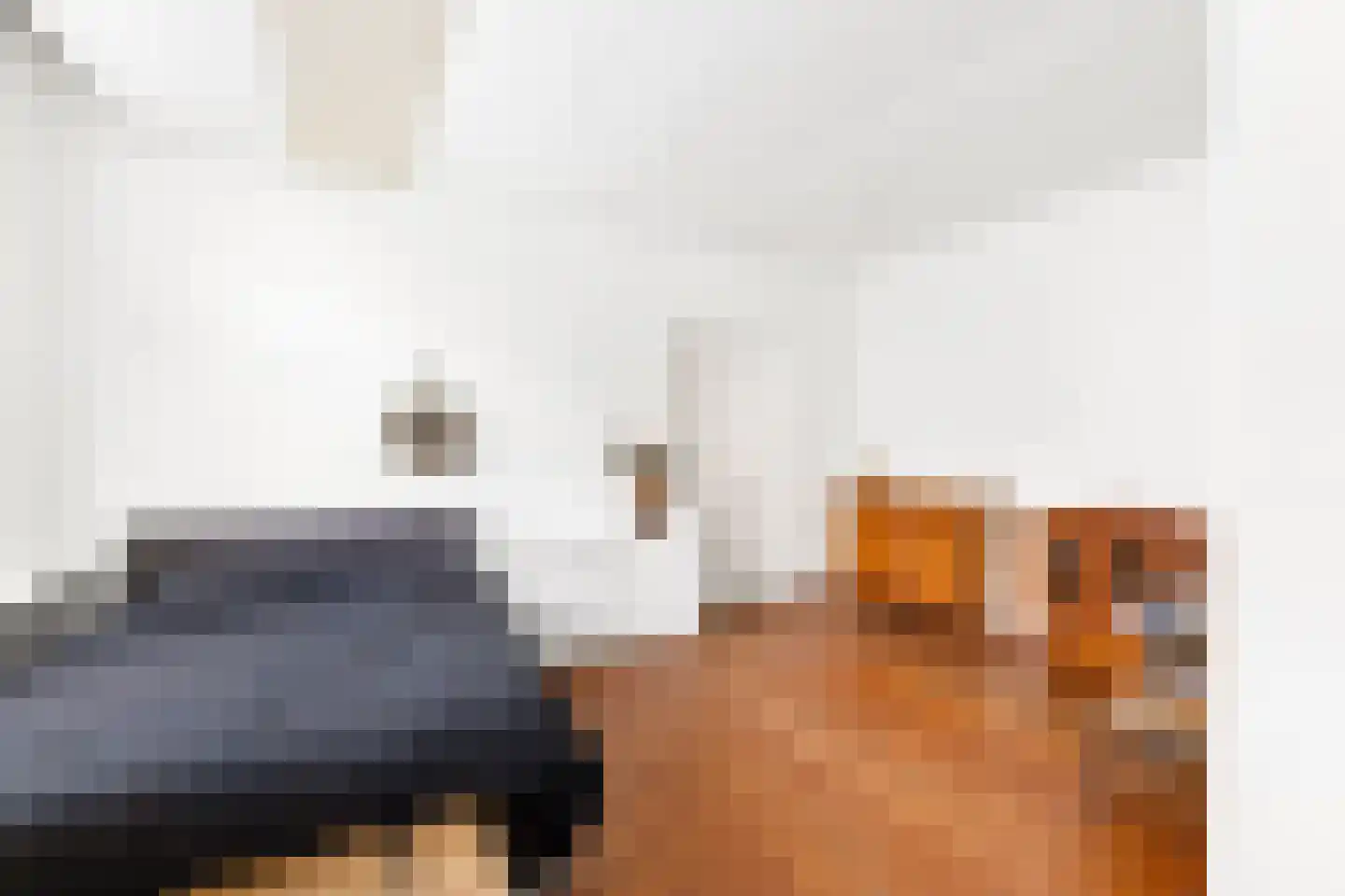 Grote Bagijnestraat 18 Hulst thumbnail 25