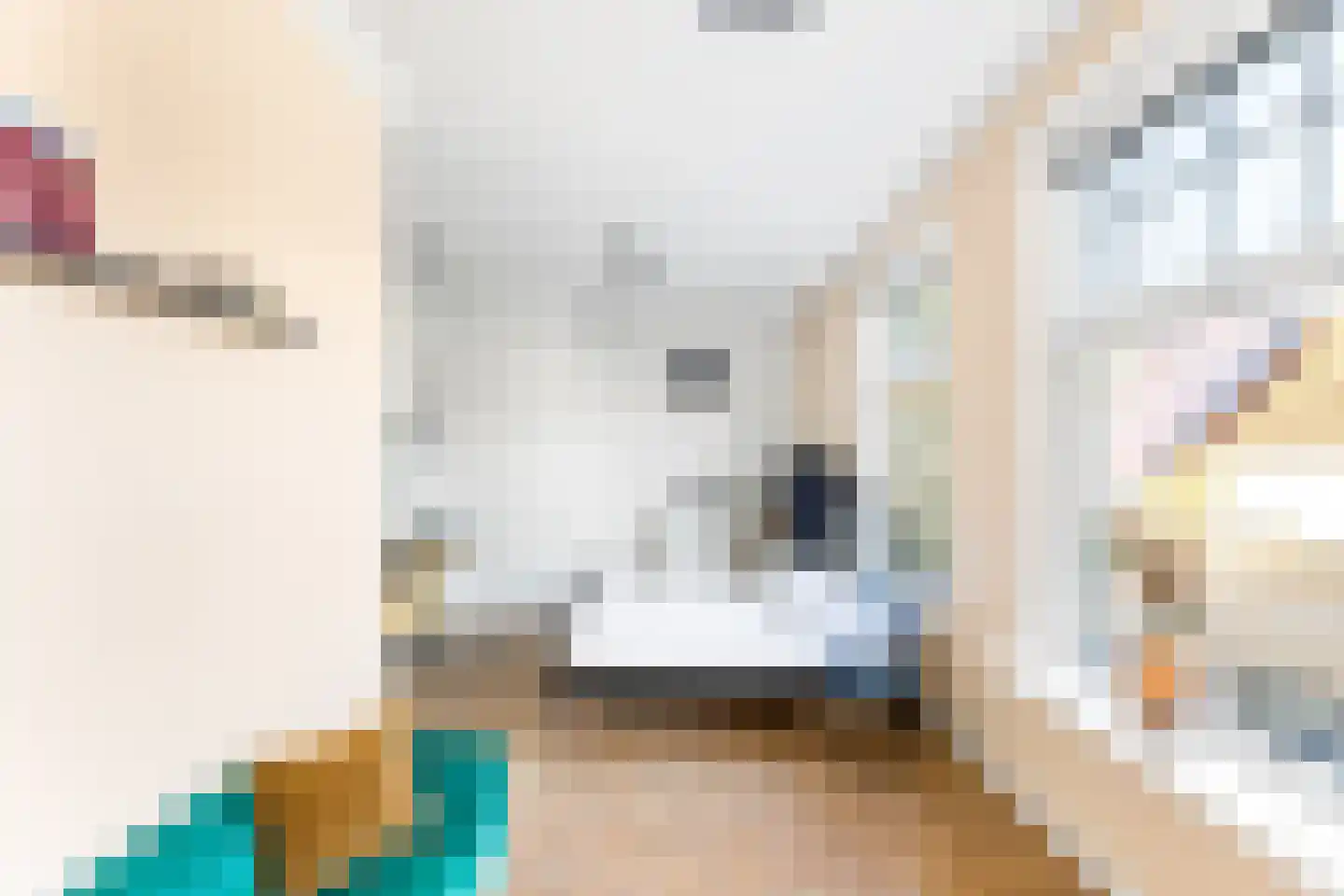 Grote Bagijnestraat 18 Hulst thumbnail 30