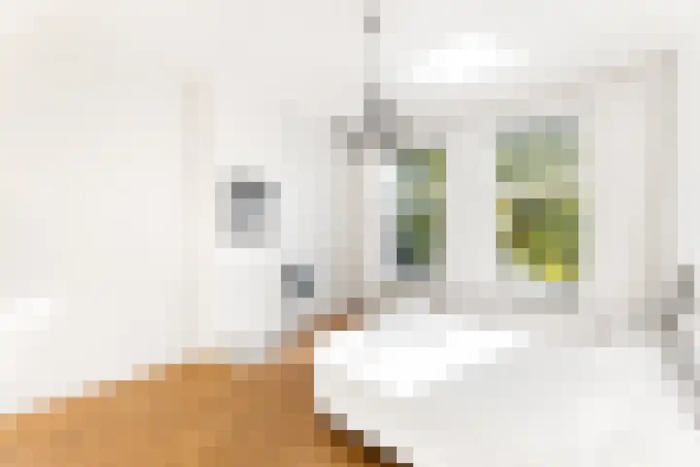 Grote Bagijnestraat 18 Hulst thumbnail 32