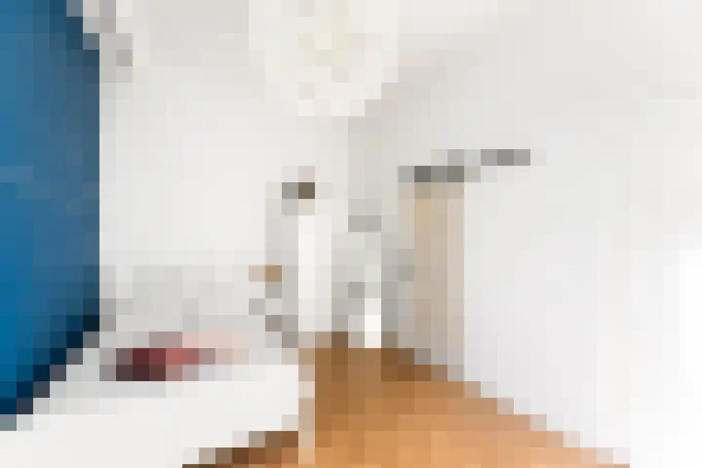 Grote Bagijnestraat 18 Hulst thumbnail 33