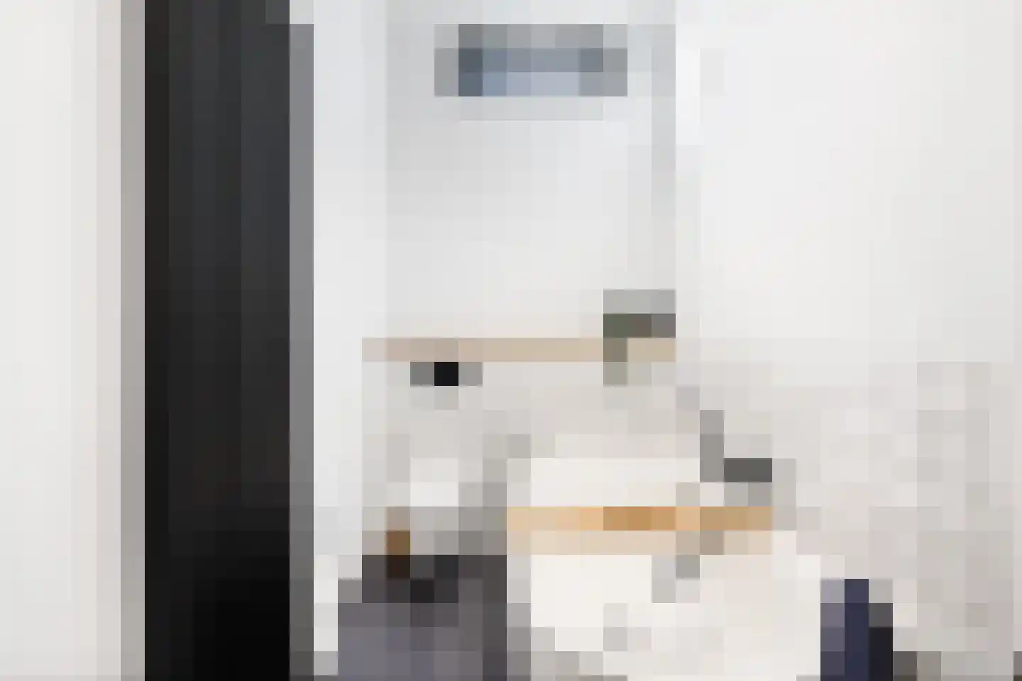 Grote Bagijnestraat 18 Hulst thumbnail 40