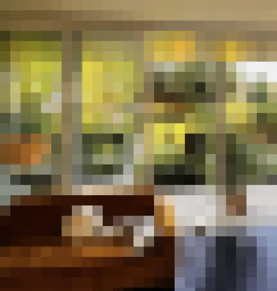 Grote Bagijnestraat 18 Hulst thumbnail 47