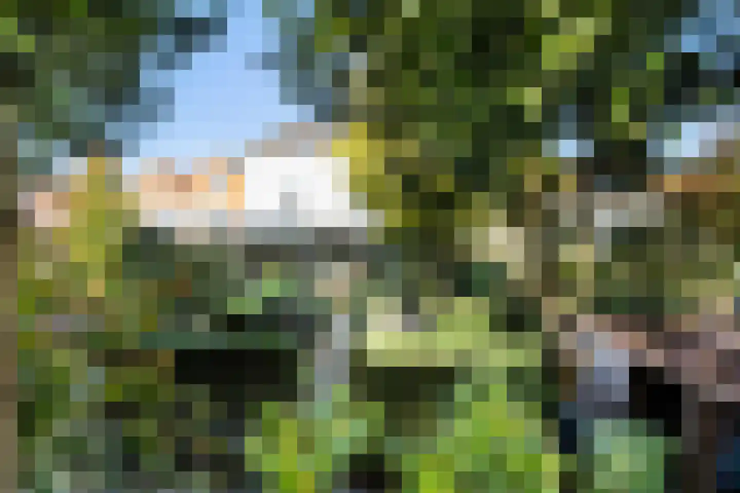 Grote Bagijnestraat 18 Hulst thumbnail 49