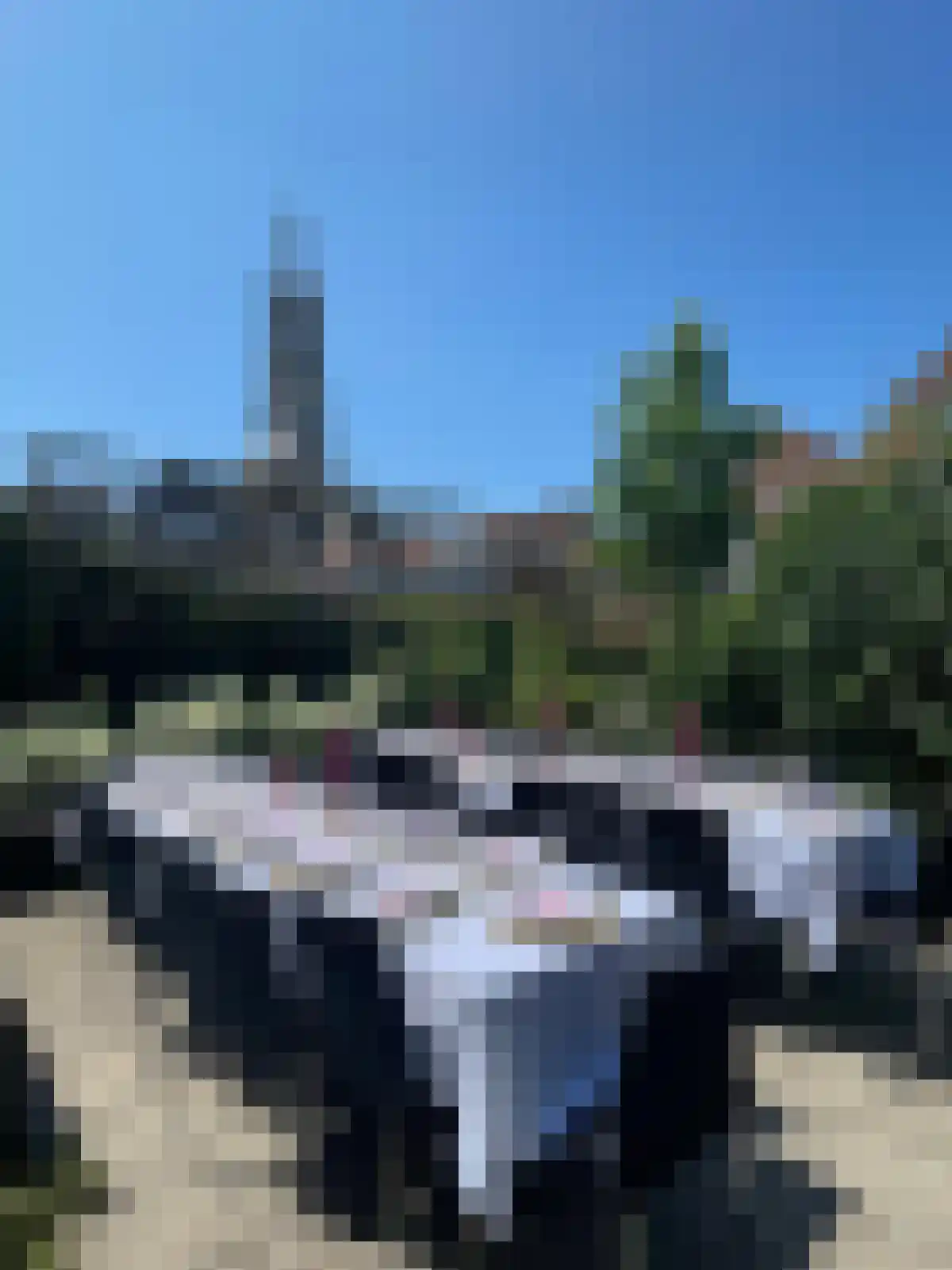 Grote Bagijnestraat 18 Hulst thumbnail 50