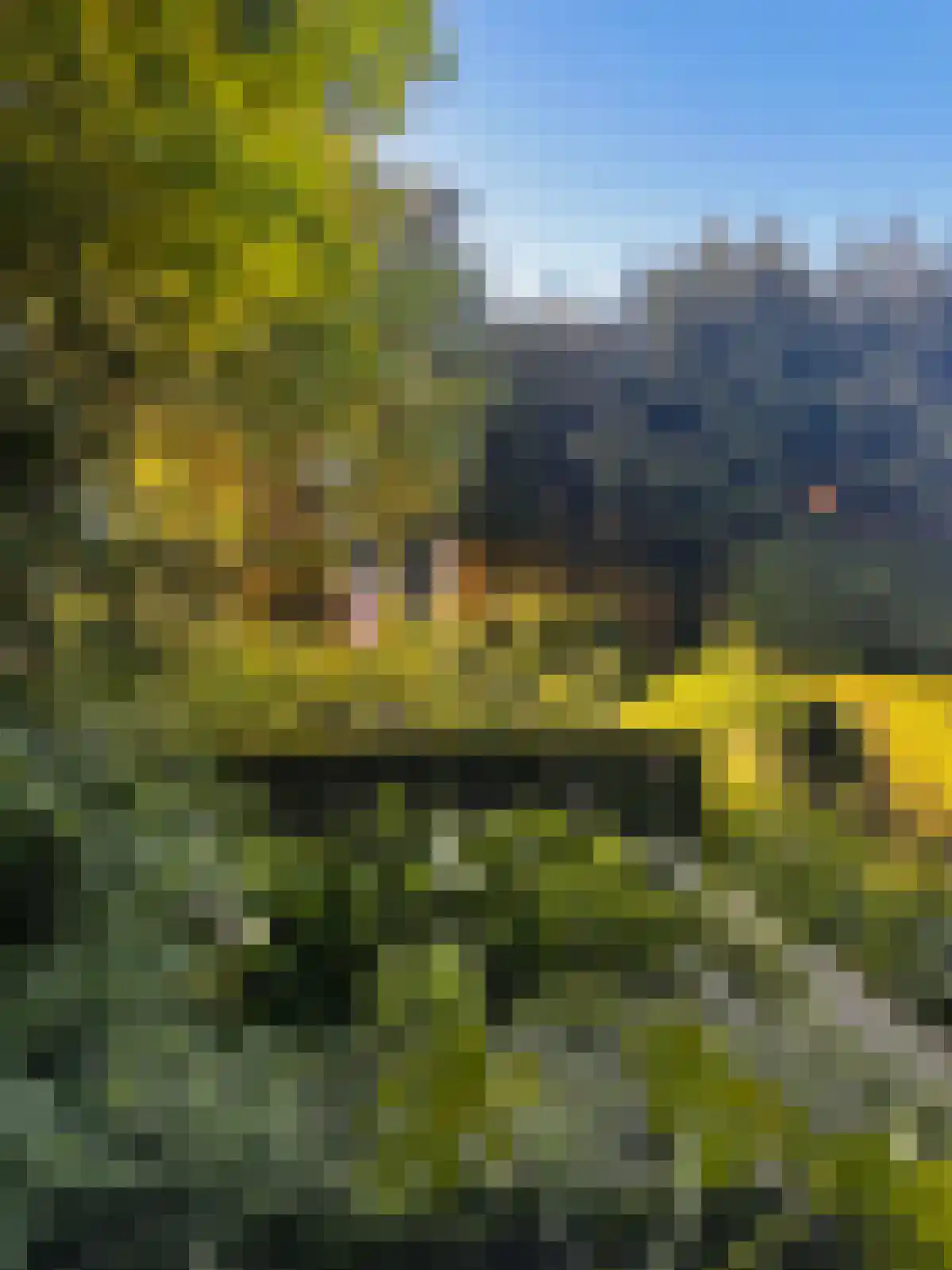 Grote Bagijnestraat 18 Hulst thumbnail 51