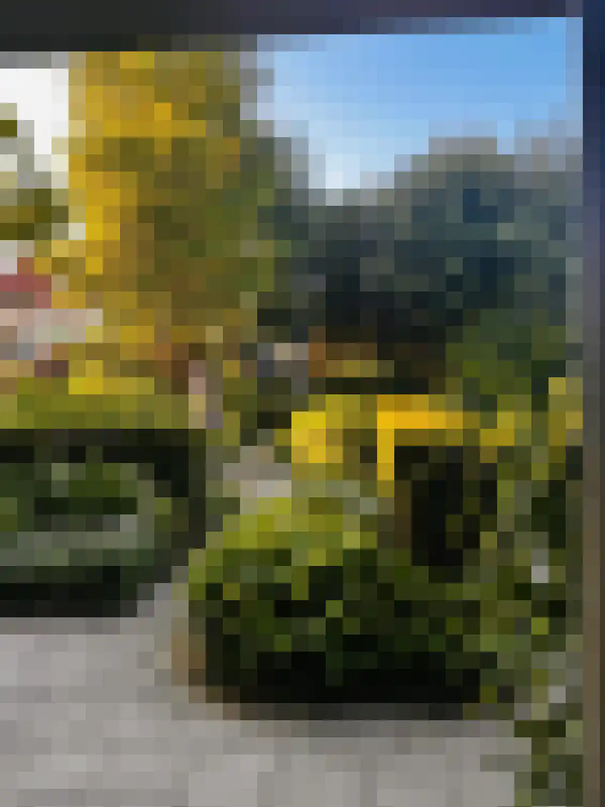 Grote Bagijnestraat 18 Hulst thumbnail 52