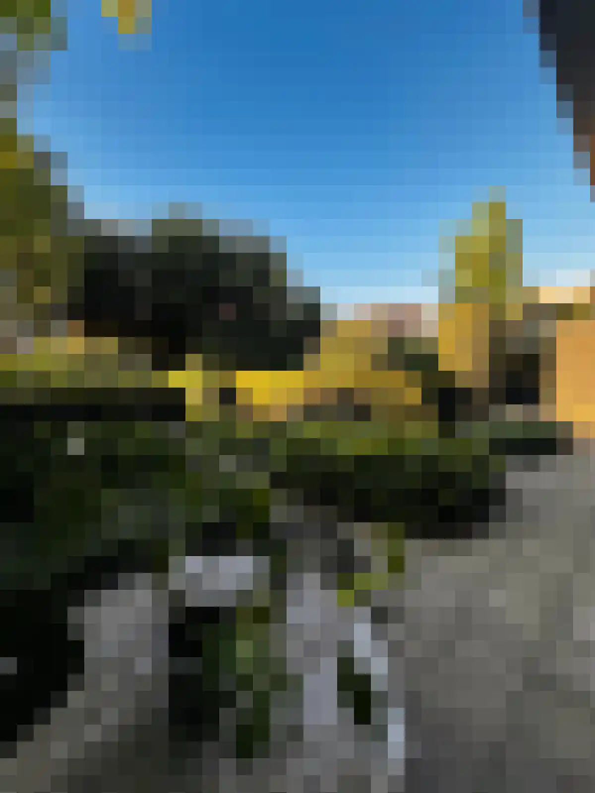 Grote Bagijnestraat 18 Hulst thumbnail 53