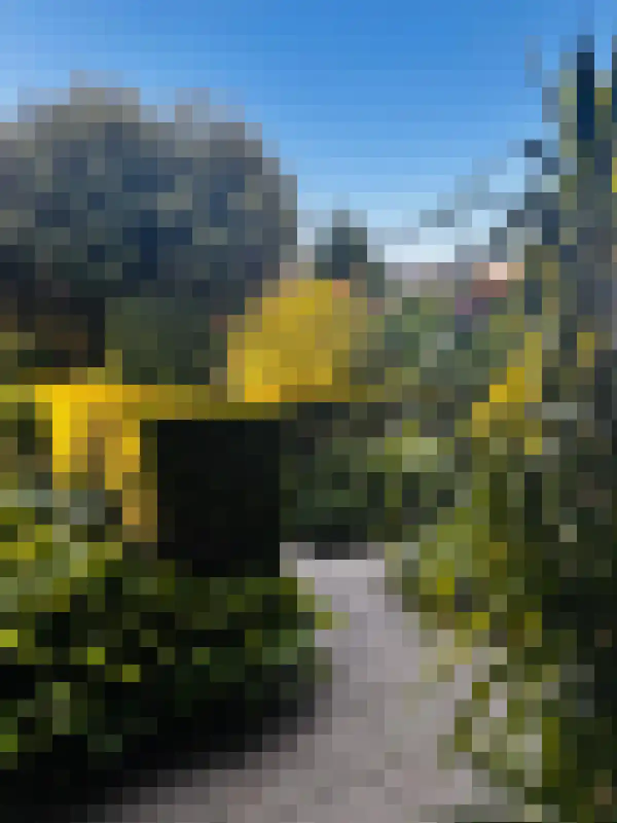 Grote Bagijnestraat 18 Hulst thumbnail 54