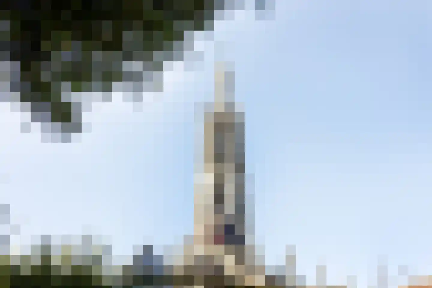 Grote Bagijnestraat 18 Hulst thumbnail 56