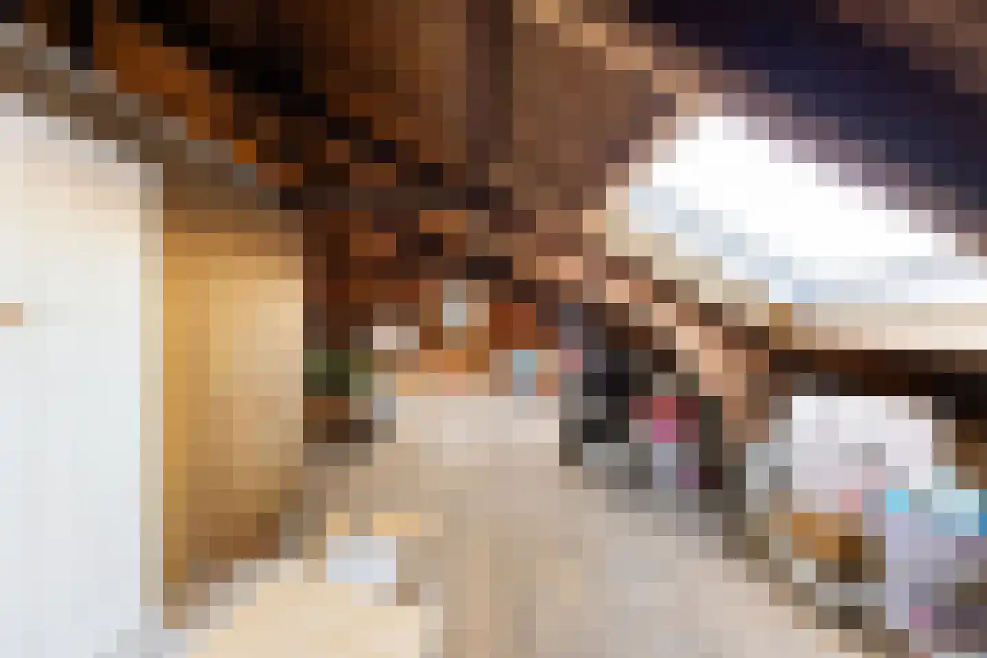 Grote Bagijnestraat 18 Hulst thumbnail 59