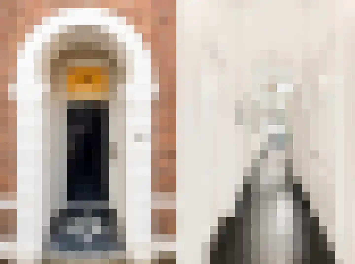 Grote Bagijnestraat 18 Hulst thumbnail 6