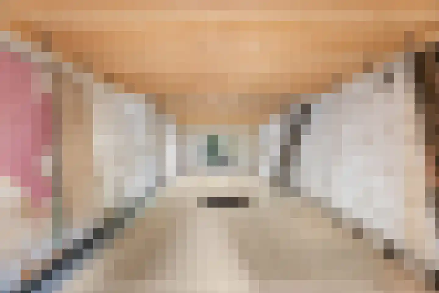 Grote Bagijnestraat 18 Hulst thumbnail 60