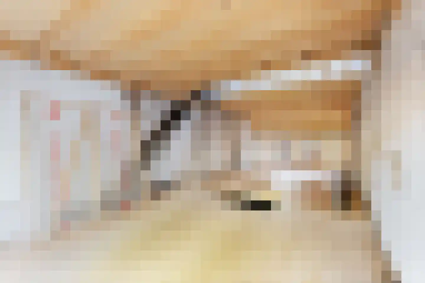 Grote Bagijnestraat 18 Hulst thumbnail 61