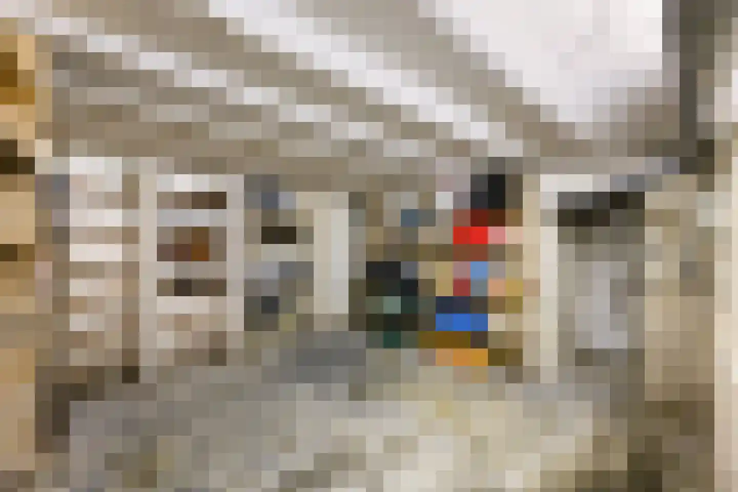 Grote Bagijnestraat 18 Hulst thumbnail 62