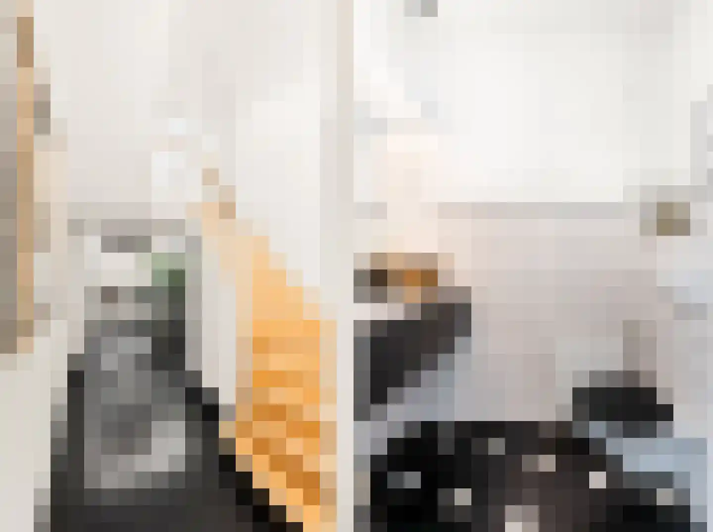 Grote Bagijnestraat 18 Hulst thumbnail 7