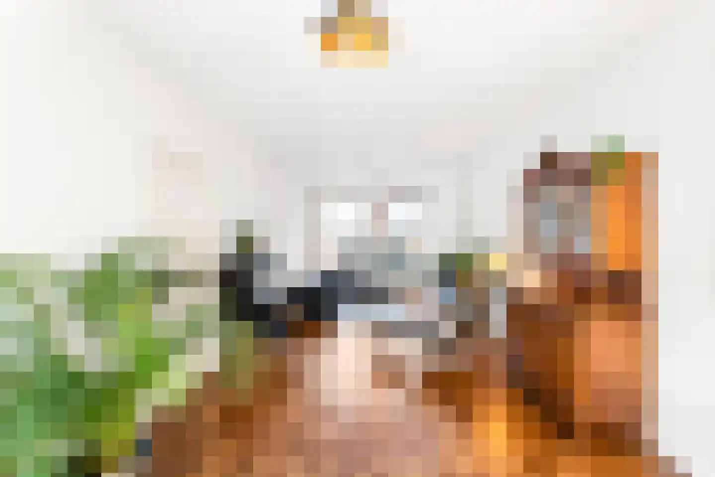 Grote Bagijnestraat 18 Hulst thumbnail 8