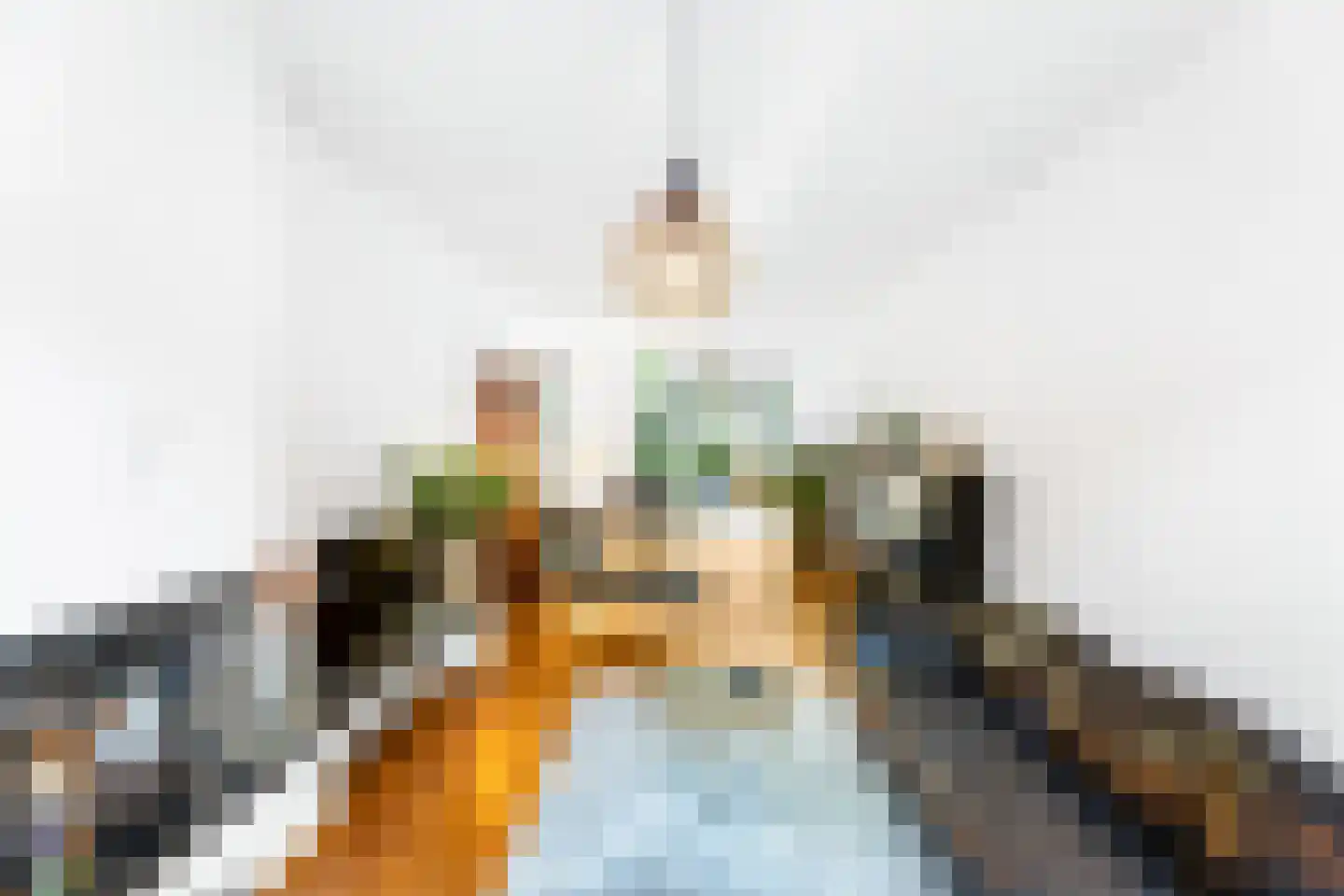 Grote Bagijnestraat 18 Hulst thumbnail 9
