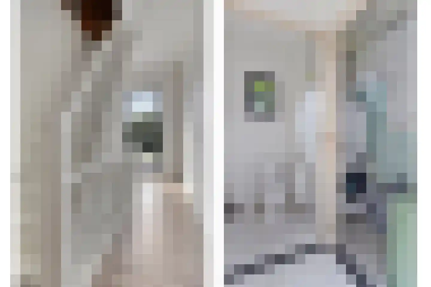 Grote Bagijnestraat 26 Hulst thumbnail 10