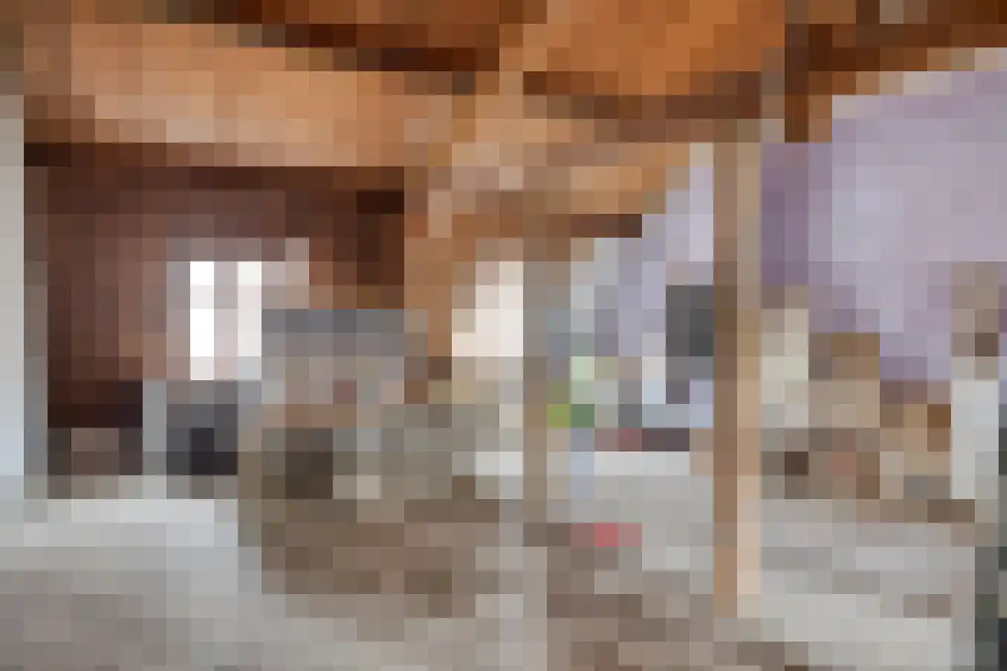 Grote Bagijnestraat 26 Hulst thumbnail 17