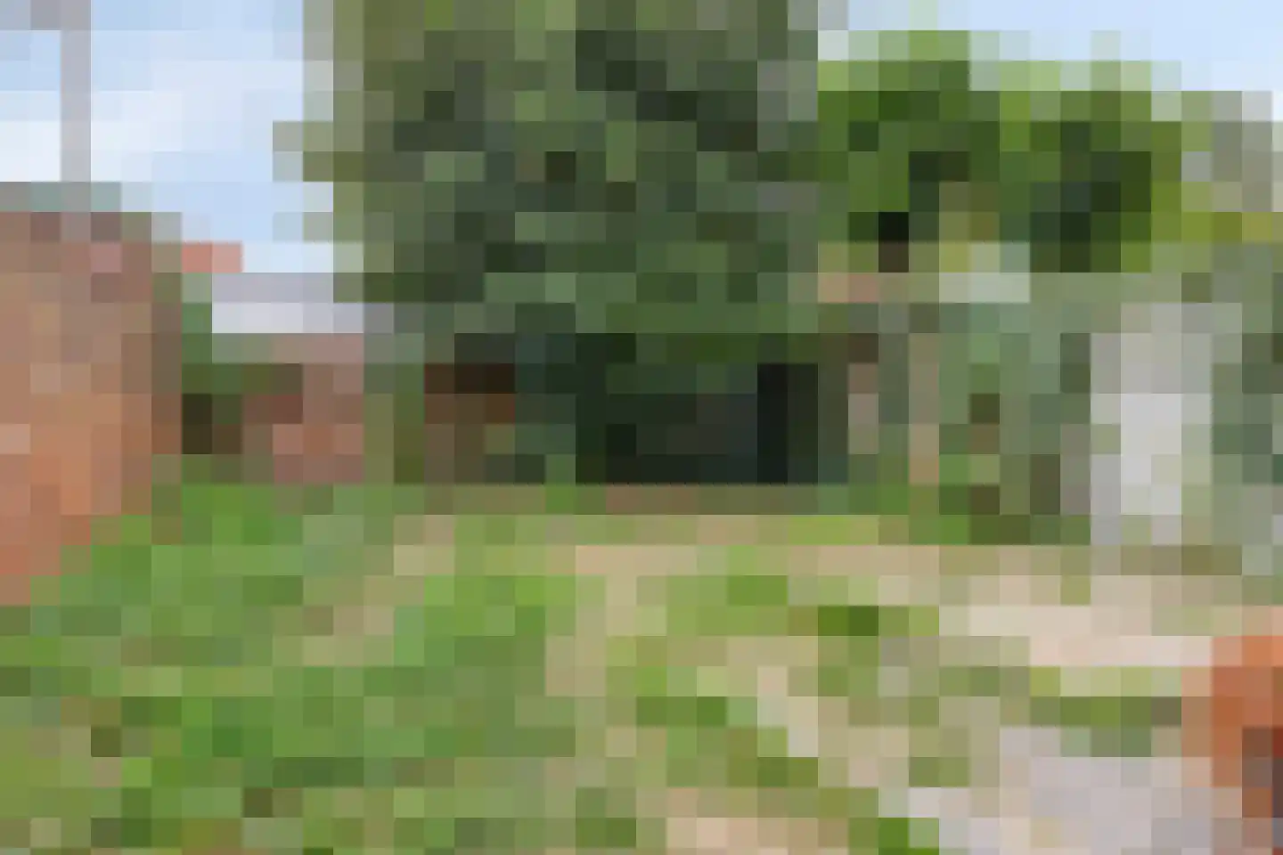Grote Bagijnestraat 26 Hulst thumbnail 20