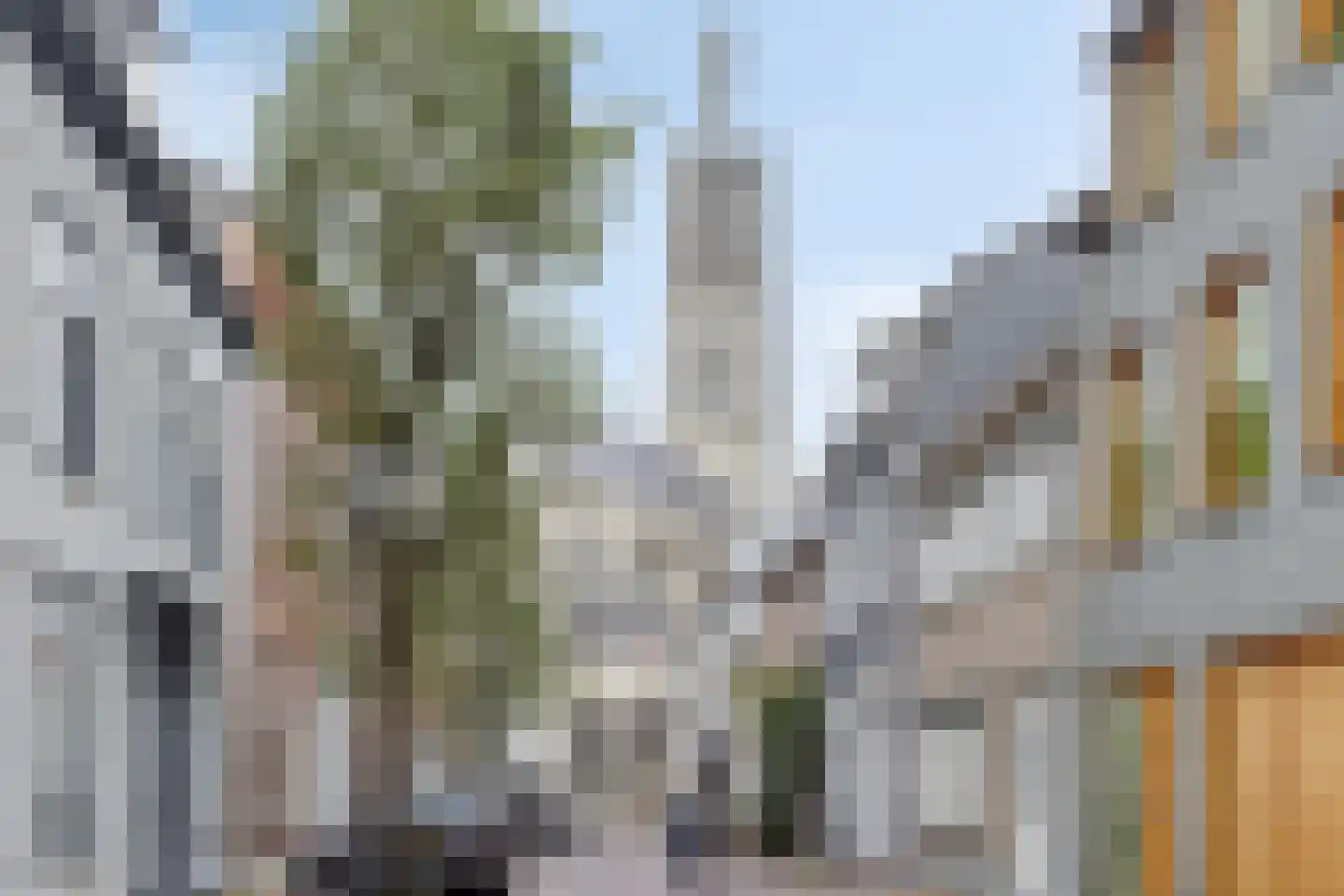 Grote Bagijnestraat 26 Hulst thumbnail 22