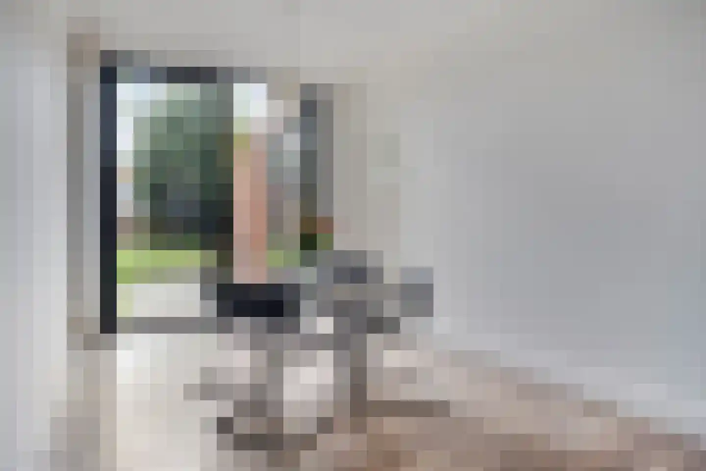 Grote Bagijnestraat 26 Hulst thumbnail 4