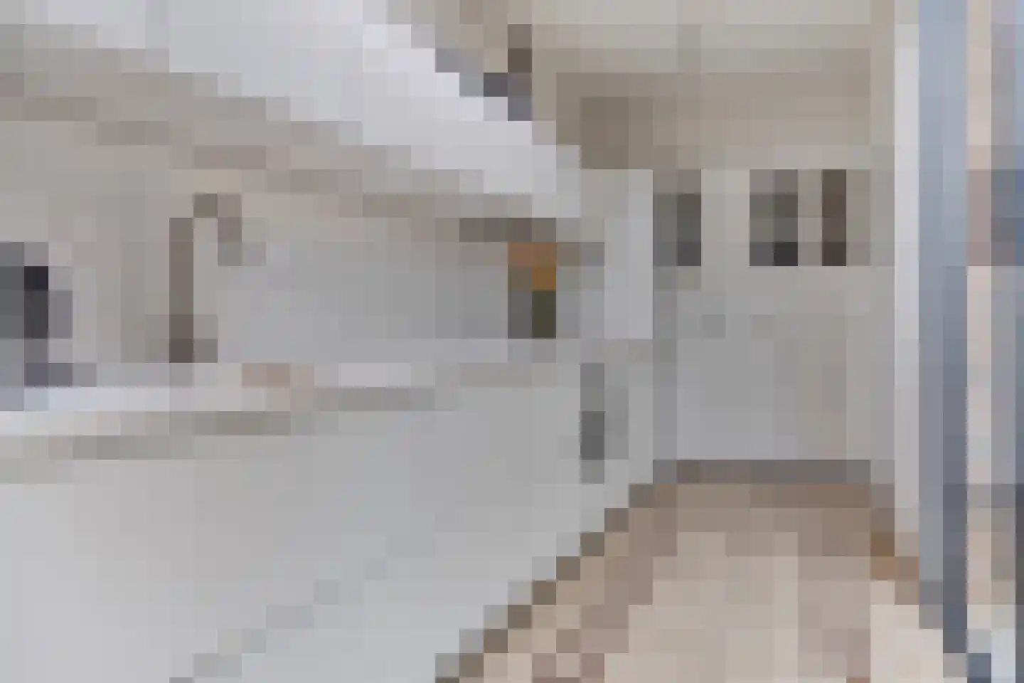 Grote Bagijnestraat 26 Hulst thumbnail 9