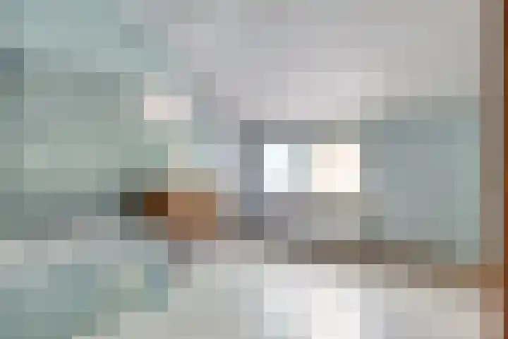 Grote Bagijnestraat 36 Hulst thumbnail 10