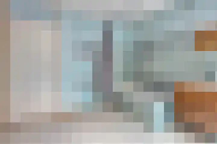 Grote Bagijnestraat 36 Hulst thumbnail 11