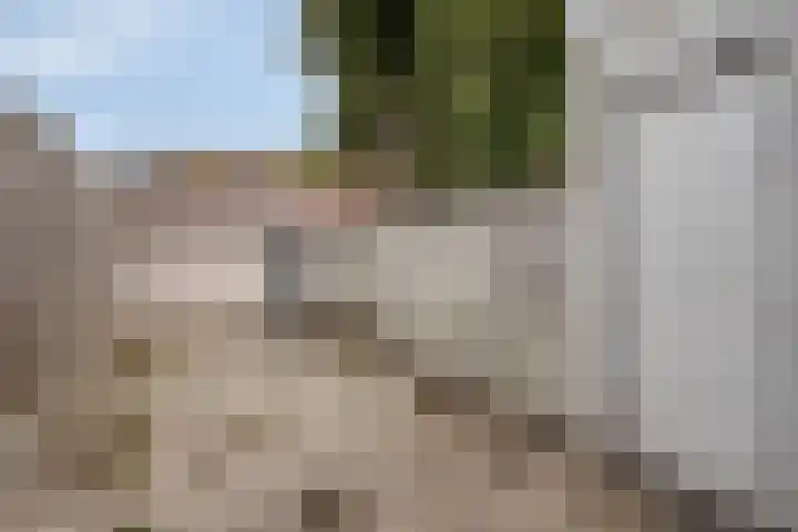 Grote Bagijnestraat 36 Hulst thumbnail 12