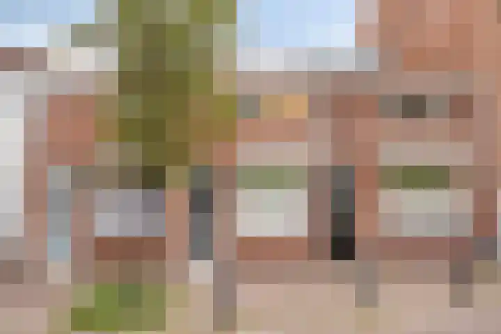 Grote Bagijnestraat 36 Hulst thumbnail 17
