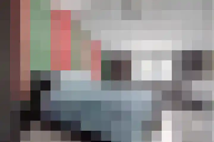 Grote Bagijnestraat 36 Hulst thumbnail 8
