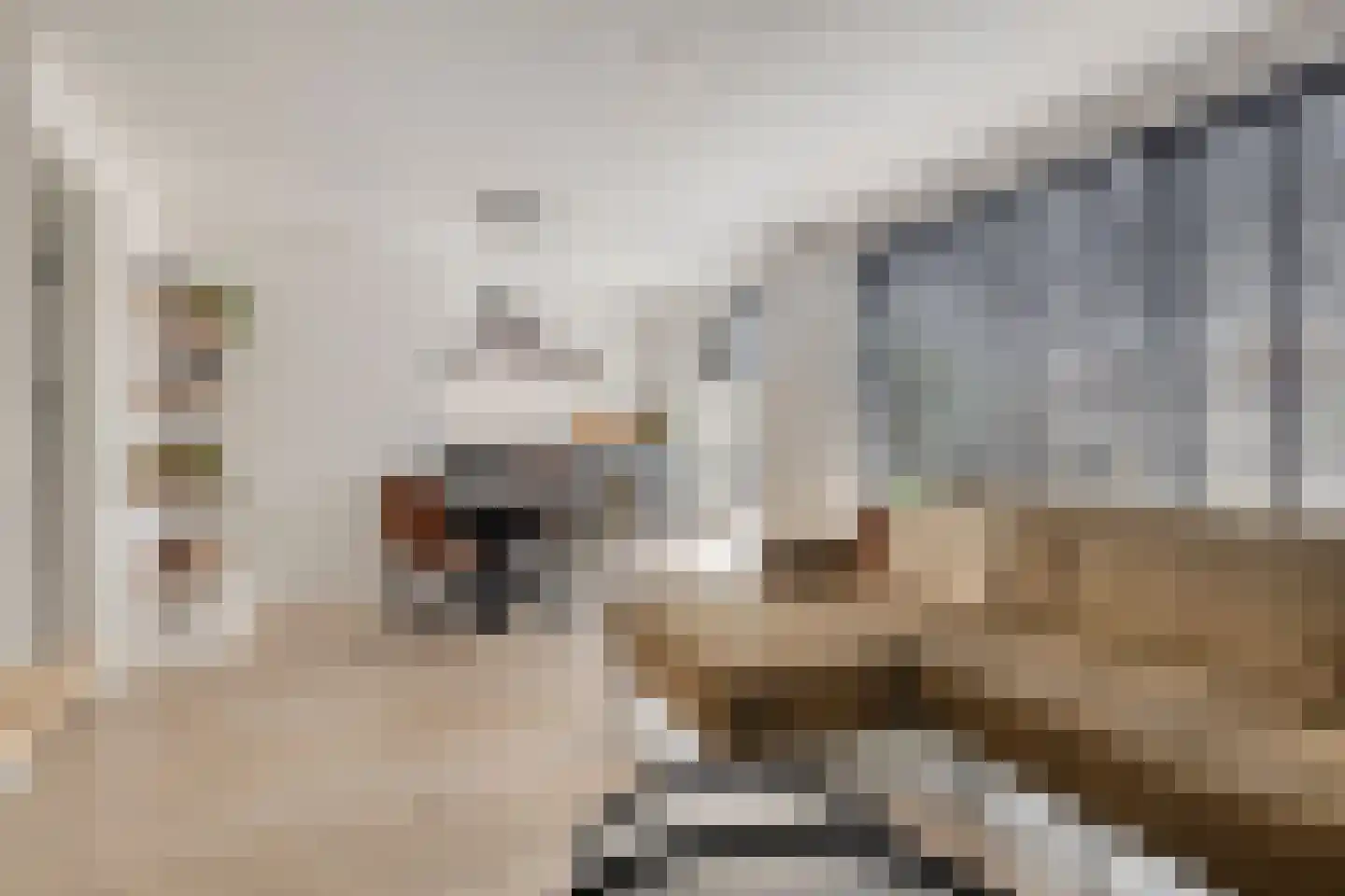 Grote Bagijnestraat 8 Hulst thumbnail 11