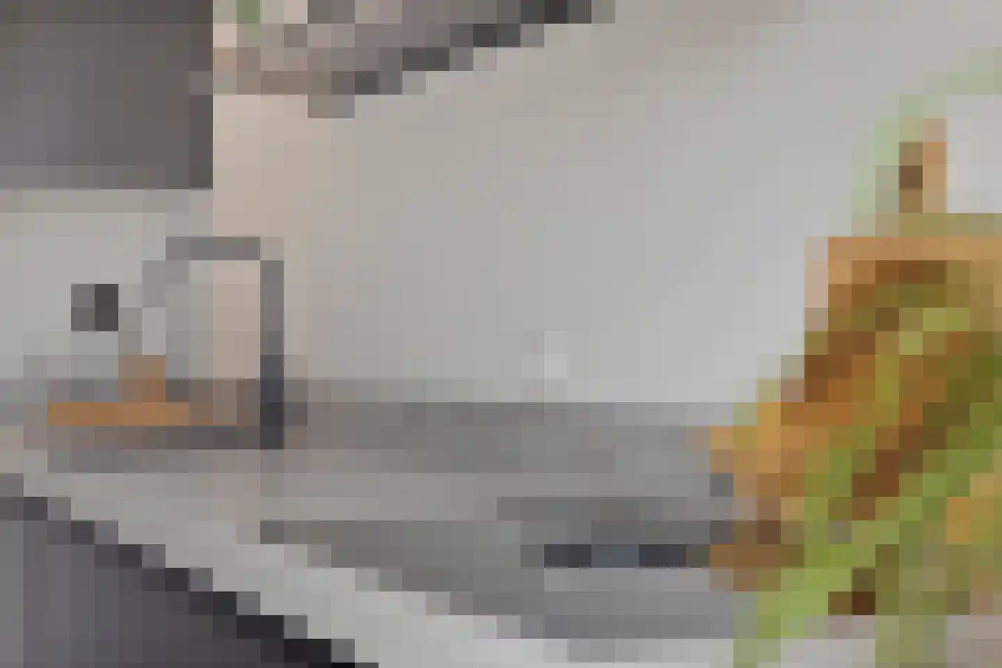 Grote Bagijnestraat 8 Hulst thumbnail 16